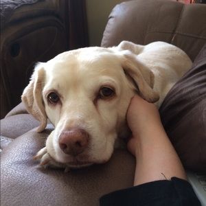 Meet your Posher, Chloe